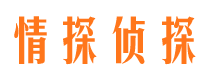 平定侦探